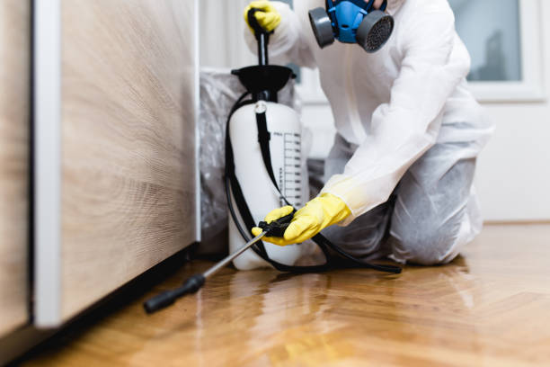 Best Pest Removal Services  in South Pasadena, CA