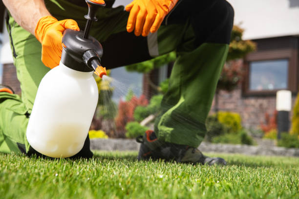 Best Bed Bug Extermination  in South Pasadena, CA