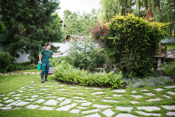 Best Mosquito Control Services  in South Pasadena, CA
