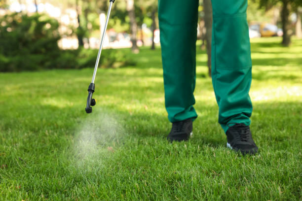 Best Insect Control  in South Pasadena, CA