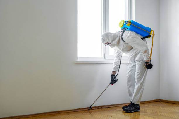 Best Pest Control Treatment  in South Pasadena, CA