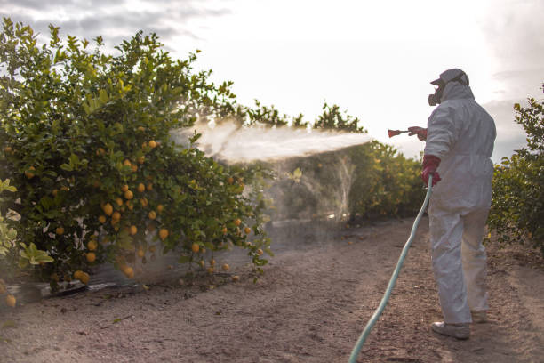 Best Residential Pest Control  in South Pasadena, CA