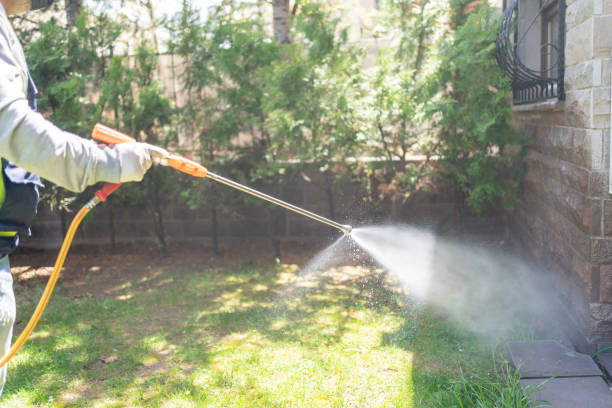 Professional Pest Control in South Pasadena, CA