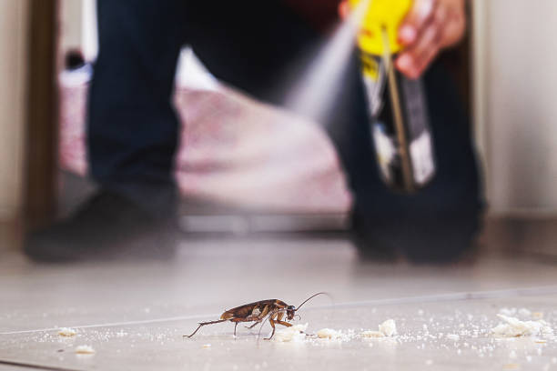 Best Wasp Removal Services  in South Pasadena, CA