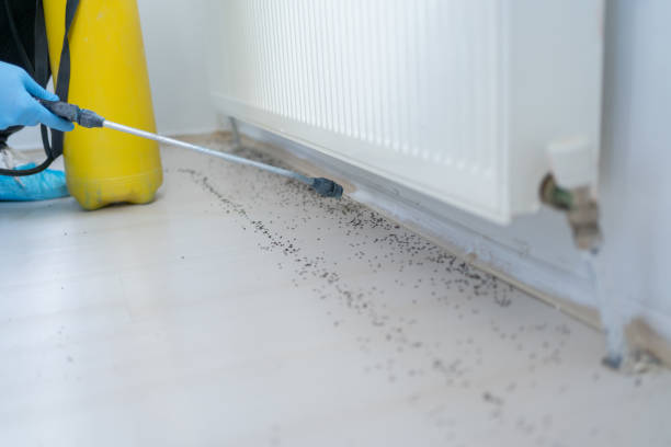 Best Pest Prevention Services  in South Pasadena, CA