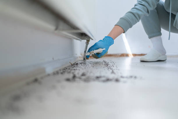 Best Wasp Removal Services  in South Pasadena, CA